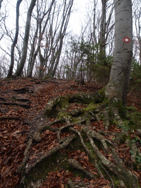 Samoborsko gorje, studeni 2010