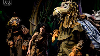 Knjiga o džungli, foto: Iva Perinčić Knjiga o džungli, foto: Iva Perinčić