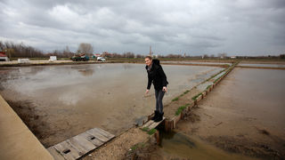 Posjet Solani Nin i Kraljevskim vinogradima u Petrčanima