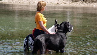Zadar: Medjunarodna izlozba pasa CACIB 1. svibnja 2010.