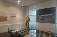 Zadarska atletika, plivanje, vaterpolo i skokovi u vodu iznjedrili su niz istaknutih sportašica i sportaša