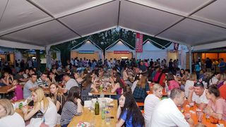 Halid Bešlić otvorio Jarun piknik festival