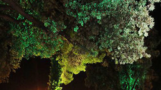 Image 953301 (auto) Image 953301 (auto)