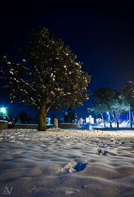 Noćni đir po Višnjiku, Foto: Anđelo Virag