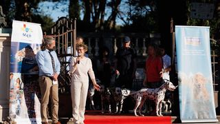 Red Carpet Dalmatian Walk @Trg pet bunara Red Carpet Dalmatian Walk @Trg pet bunara