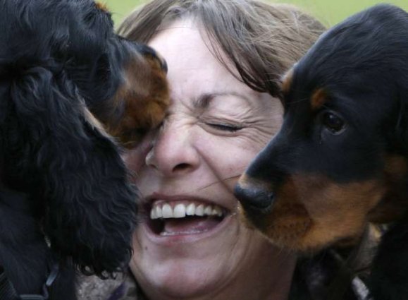 Izložba pasa Crufts 2009 u Birminghamu (Javno.hr)