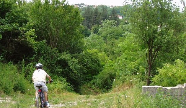 Image 1201249 (auto)