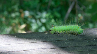 Izlet na Vrelo Une, foto: Darko Belančić