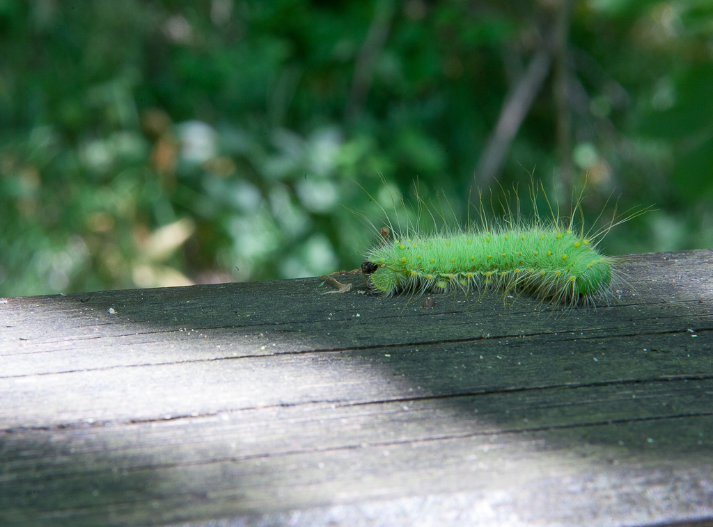 Izlet na Vrelo Une, foto: Darko Belančić
