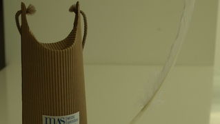 OLYMPUS DIGITAL CAMERA OLYMPUS DIGITAL CAMERA