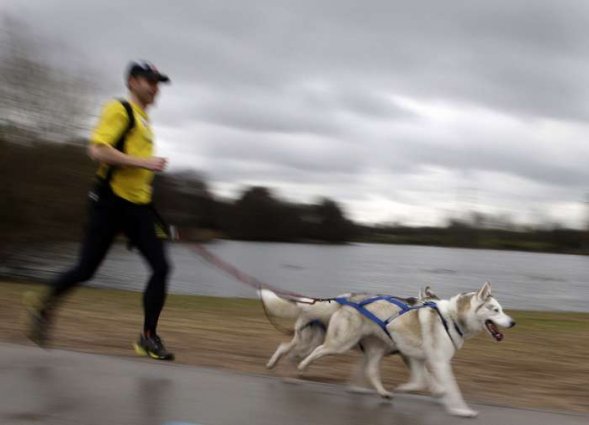 Izložba pasa Crufts 2009 u Birminghamu (Javno.hr)