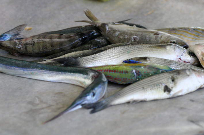 Image 1200371 (auto)