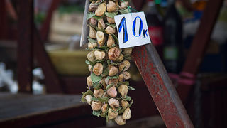Đir po pijaci, 17. travnja 2012. (foto:Saša Čuka)