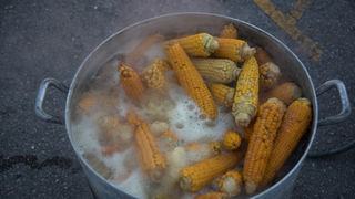 Dvadeset tisuća posjetitelja na Biogradskoj noći, foto: Vinko Pešić Dvadeset tisuća posjetitelja na Biogradskoj noći, foto: Vinko Pešić