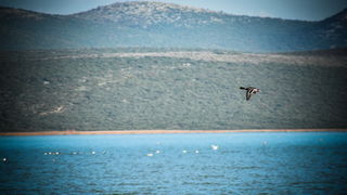 Nedjeljni đir do Parka prirode Vransko jezero i vidikovca Kamenjak, foto: Iva Perinčić Nedjeljni đir do Parka prirode Vransko jezero i vidikovca Kamenjak, foto: Iva Perinčić