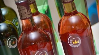 Premijera predstave “Božićno drvce”; foto Iva Perinčić