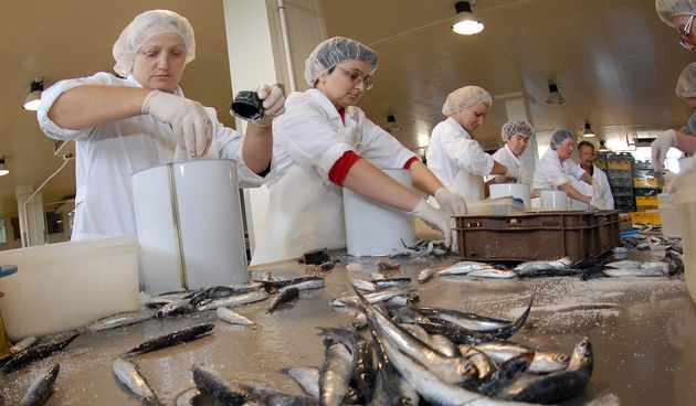 Djelatnice stankovačke tvornice Ostrea