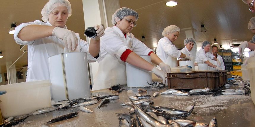 Djelatnice stankovačke tvornice Ostrea Djelatnice stankovačke tvornice Ostrea