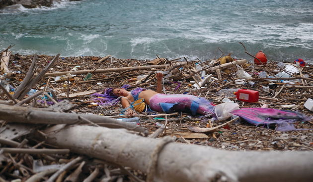 Mljet: Nasukana morska sirena