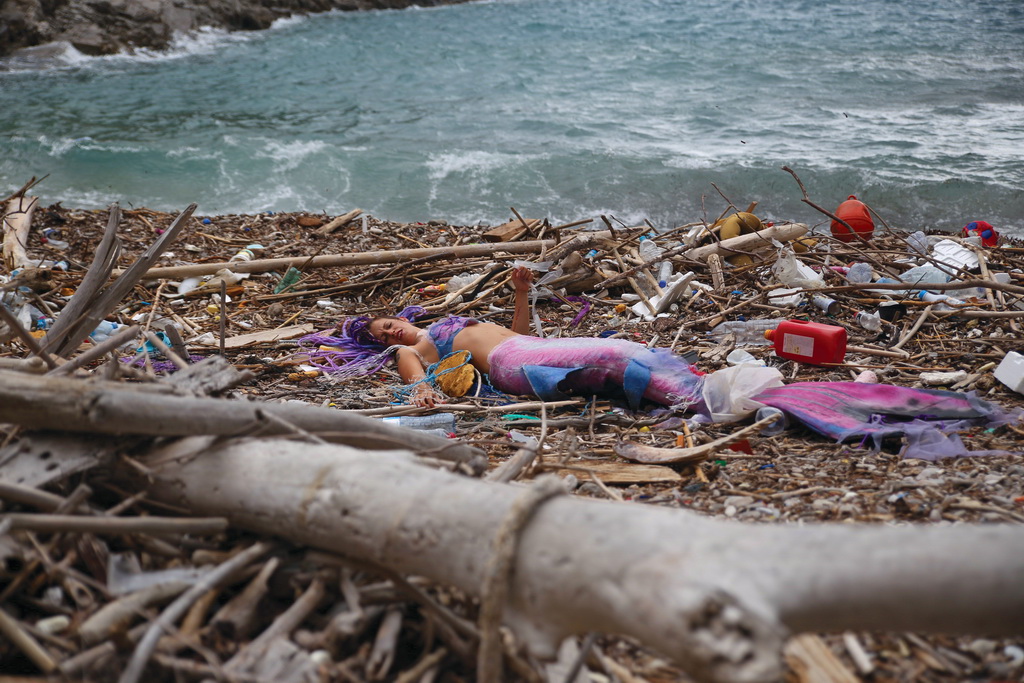 Mljet: Nasukana morska sirena Mljet: Nasukana morska sirena