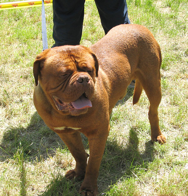 Image 1171045 (auto)