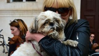 Skup podrške za NO KILL skloništa za životinje,  foto Iva Perinčić