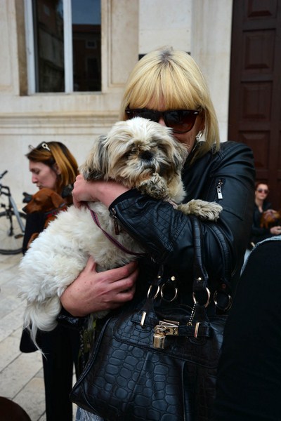 Skup podrške za NO KILL skloništa za životinje,  foto Iva Perinčić