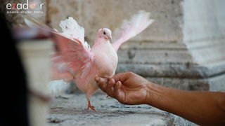 Večernji đir po gradu 10. srpnja 2019. Večernji đir po gradu 10. srpnja 2019.