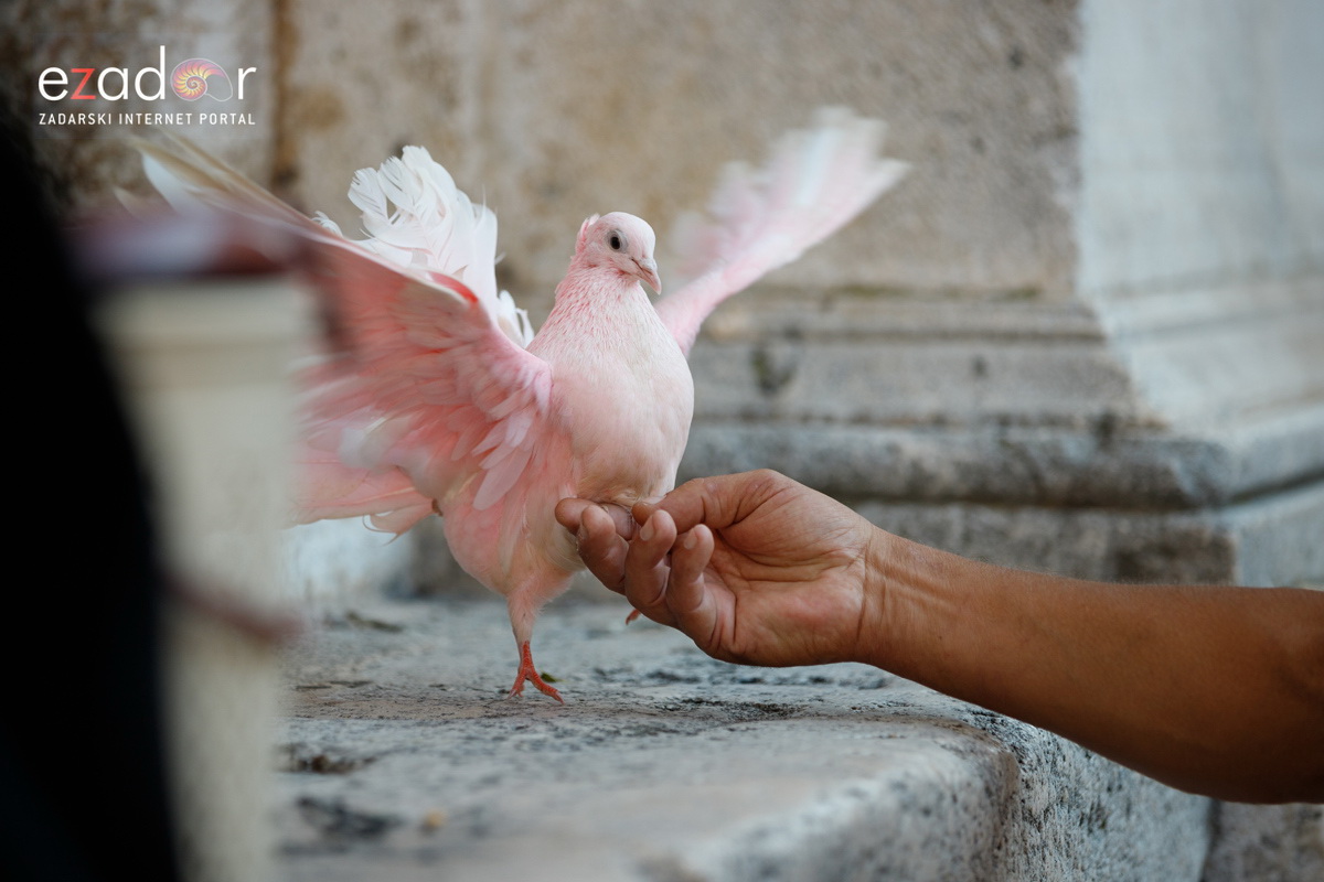 Večernji đir po gradu 10. srpnja 2019. Večernji đir po gradu 10. srpnja 2019.