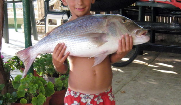 Pag, 280809. Osmogodisnji  Djani Ramovic u svojoj ribickoj avanturi ulovio je zubaca teskog 5,10 kilograma, a iz mora su mu ga pomogli izvuci njegov ujak Marjan i susjed Goran koji su prvo mislili da se Djaniu udica zakacila za stijenu.  Na fotografiji: D