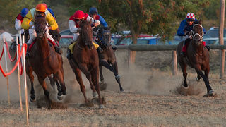 Polača: 14. Međunarodne konjičke utrke “Oluja 95”, Foto: Leo Banić Polača: 14. Međunarodne konjičke utrke “Oluja 95”, Foto: Leo Banić