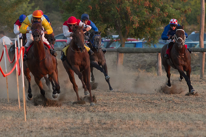 Polača: 14. Međunarodne konjičke utrke “Oluja 95”, Foto: Leo Banić Polača: 14. Međunarodne konjičke utrke “Oluja 95”, Foto: Leo Banić