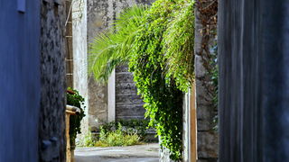 Iške crtice u objektivu Leonarda Kvarantana