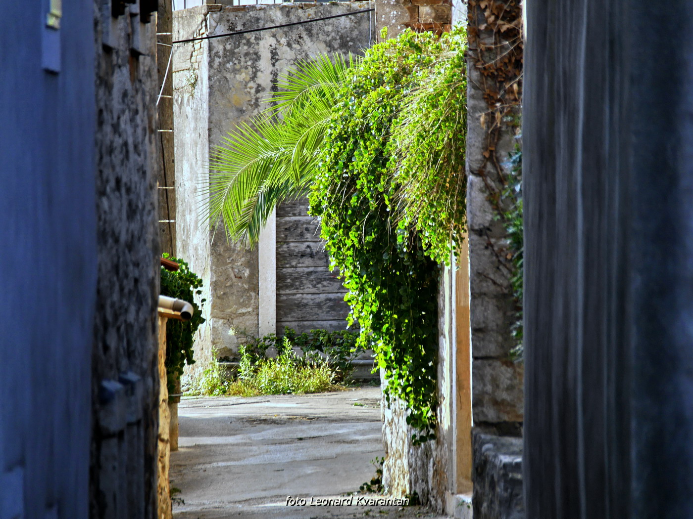 Iške crtice u objektivu Leonarda Kvarantana