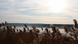 Đir uz Vransko jezero, Foto: Iva Perinić Đir uz Vransko jezero, Foto: Iva Perinić