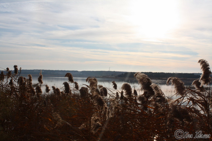 Đir uz Vransko jezero, Foto: Iva Perinić Đir uz Vransko jezero, Foto: Iva Perinić