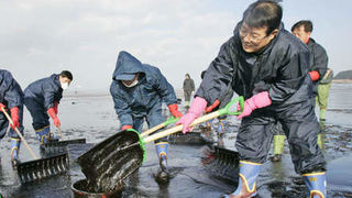 Image 1196801 (auto) Image 1196801 (auto)