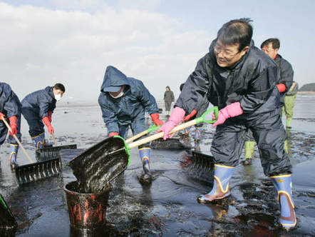 Image 1196801 (auto) Image 1196801 (auto)