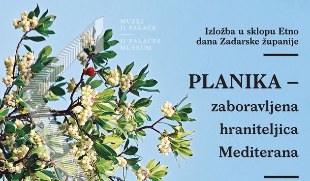 U utorak, 8. svibnja 2018. u Edukativnoj dvorani Kneževe palače svečano će se otvoriti, u sklopu Etno dana Zadarske županije, izložba “Planika – zaboravljena hraniteljica Mediterana,” s početkom u 12 sati.