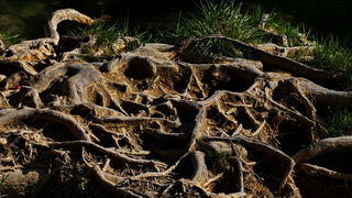 Nedjeljni izlet u Nacionalni park Krka Nedjeljni izlet u Nacionalni park Krka