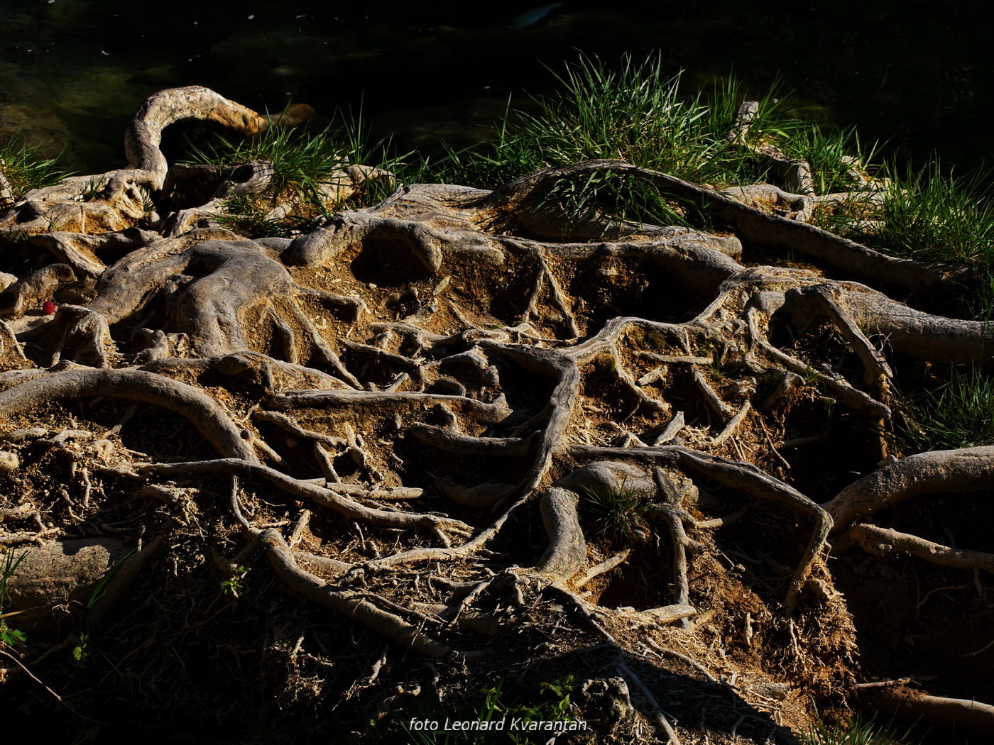 Nedjeljni izlet u Nacionalni park Krka Nedjeljni izlet u Nacionalni park Krka
