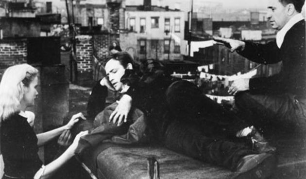 Image 1206649 (auto)