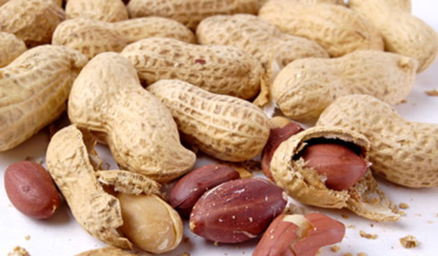 Kikiriki (Fitness.com.hr)