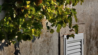 Iške crtice u objektivu Leonarda Kvarantana