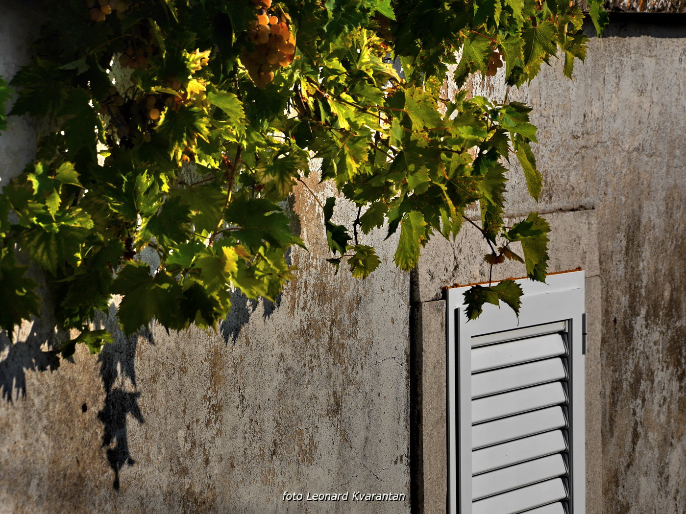 Iške crtice u objektivu Leonarda Kvarantana