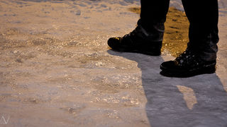 Noćni đir po Višnjiku, Foto: Anđelo Virag