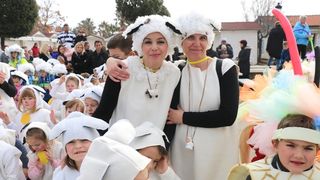 Virski Karnevalić 2017.