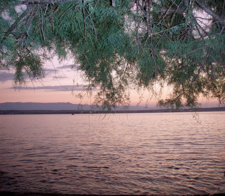 Preko: Svitanje 27. kolovoza 2011, Foto: Jasna Marcelić Preko: Svitanje 27. kolovoza 2011, Foto: Jasna Marcelić