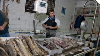 S pjace i peskarije, 24. prosinca 2010., Foto: Leo Banic