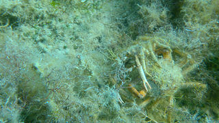 OLYMPUS DIGITAL CAMERA OLYMPUS DIGITAL CAMERA